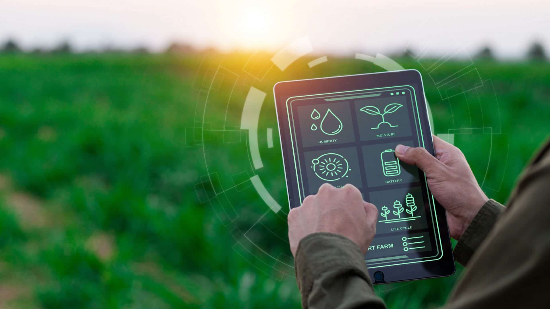 Pessoa com tablet em meio rural