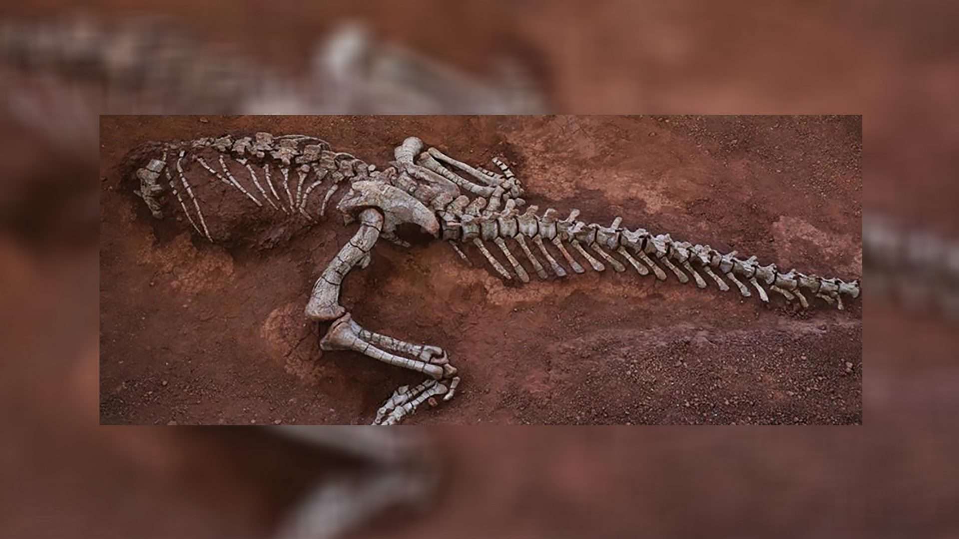 Xingxiulong-yueorum-1920x1080