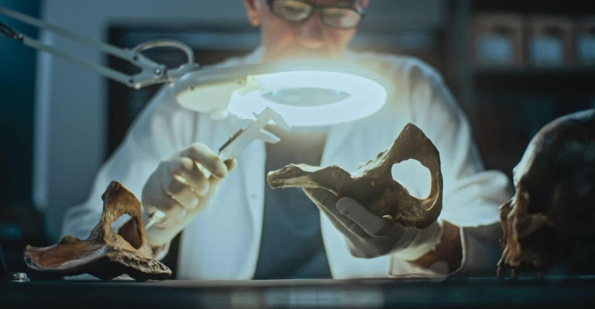 Arqueologista em seu laboratório.