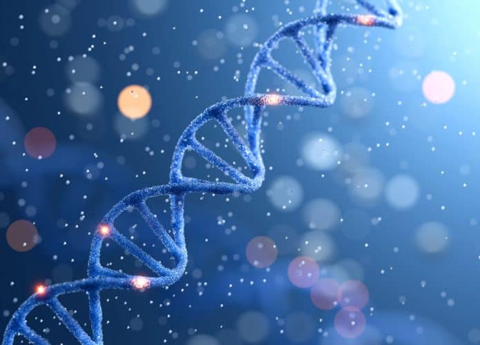 dna