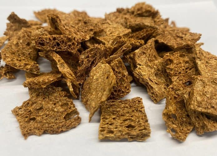 Pedaços da esponja