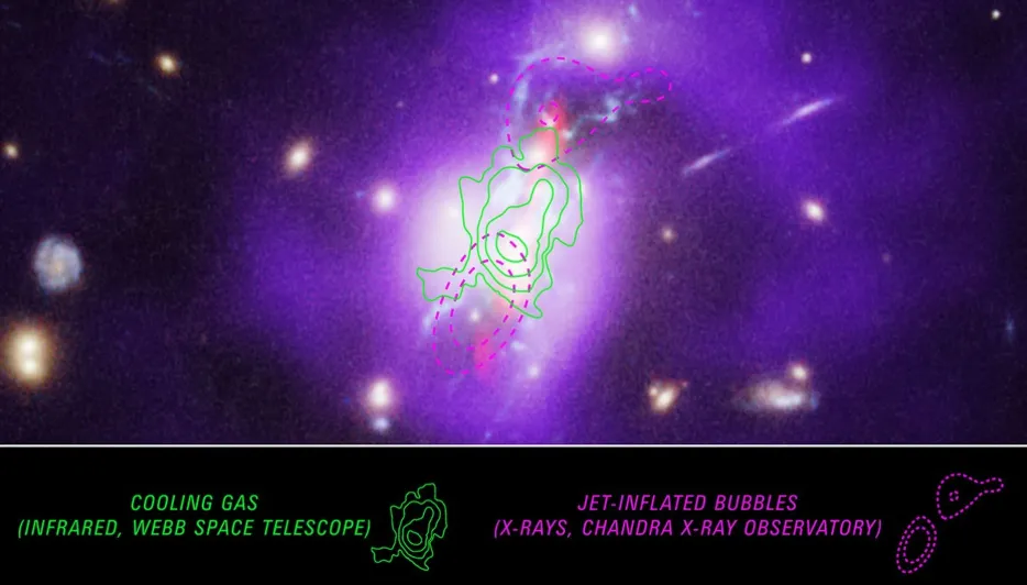 Dados espectroscópicos coletados do JWST sobrepostos a uma imagem do aglomerado de Fênix que combina dados do Telescópio Espacial Hubble da NASA, do Observatório de Raios-X Chandra e do telescópio de rádio Very Large Array (VLA). O JWST detectou o gás em resfriamento que leva a uma taxa furiosa de formação de estrelas neste enorme aglomerado de galáxias