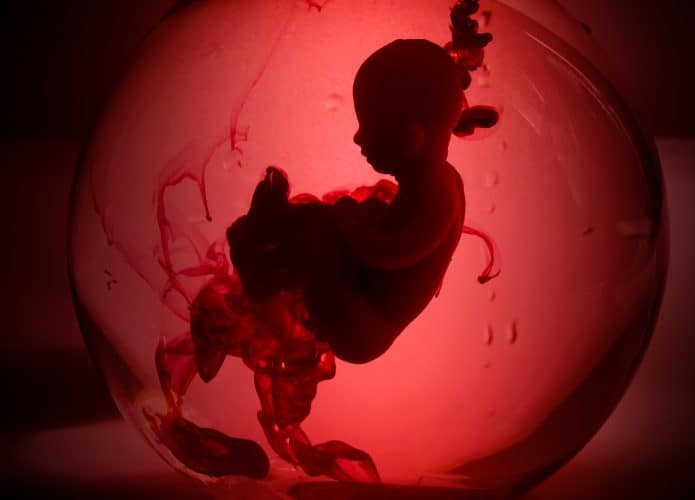 imagem mostra ilustração digital de um bebê sendo desenvolvido dentro da placenta da mãe