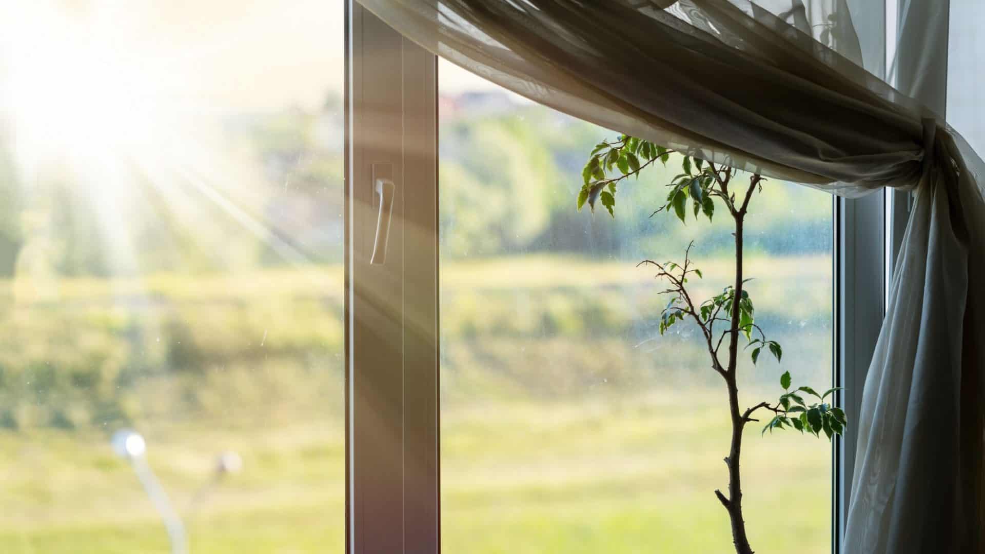luz do sol