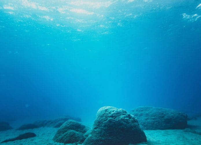 a imagem mostra várias pedras e algas no fundo do oceano