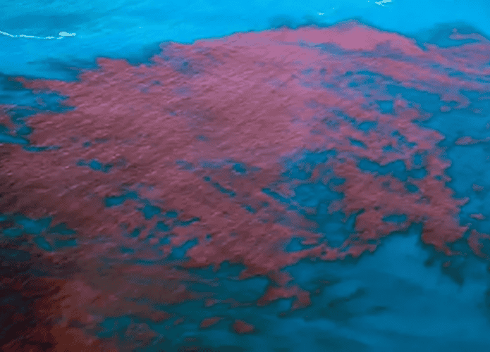 mare-vermleha-1-695x500.png