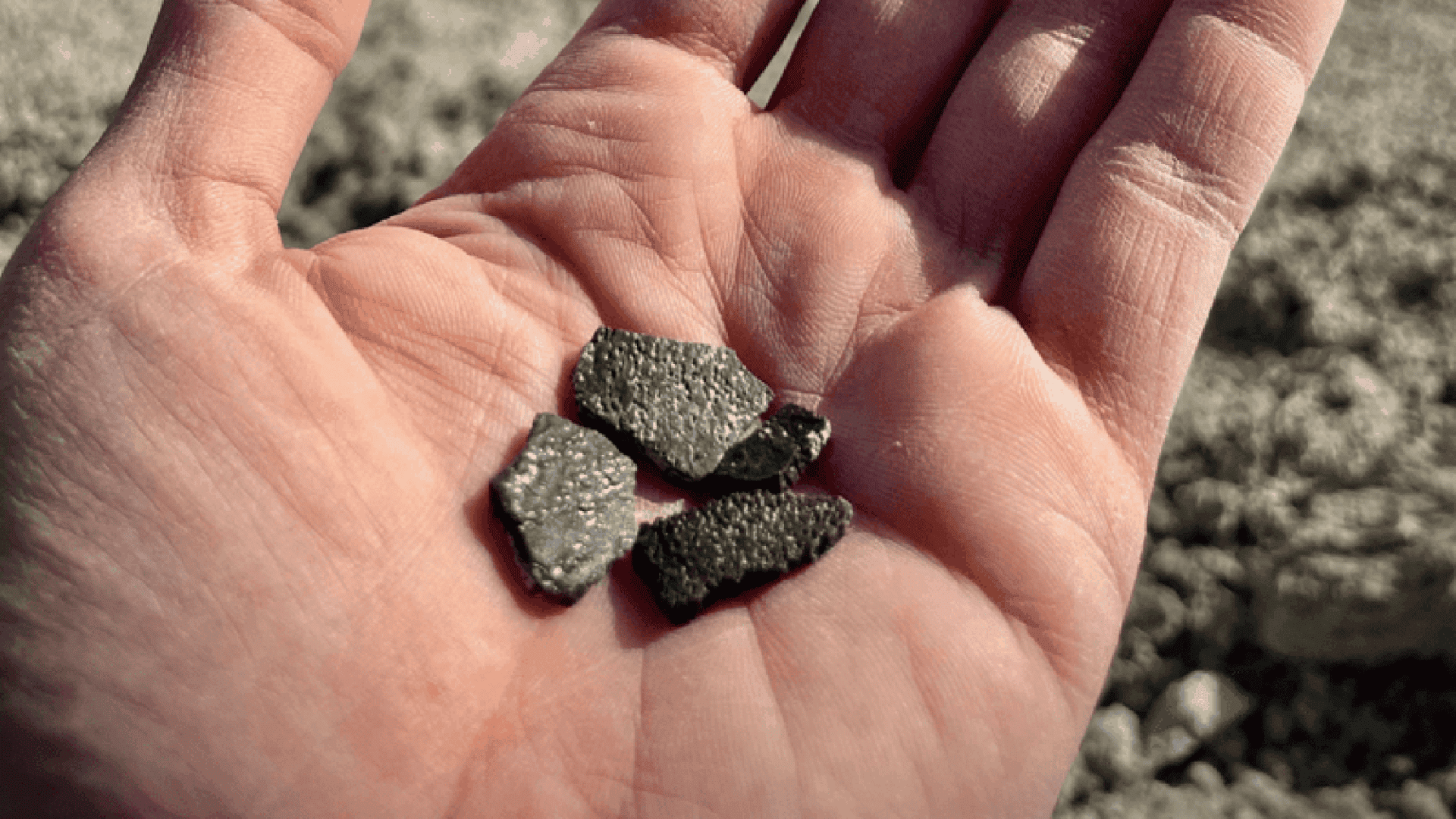 Fragmentos de ossos fósseis de dinossauro na mão de uma pessoa