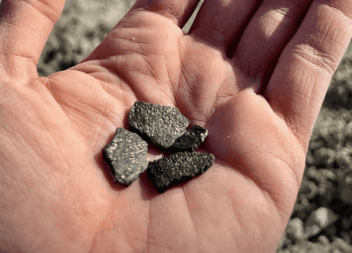 Fragmentos de ossos fósseis de dinossauro na mão de uma pessoa