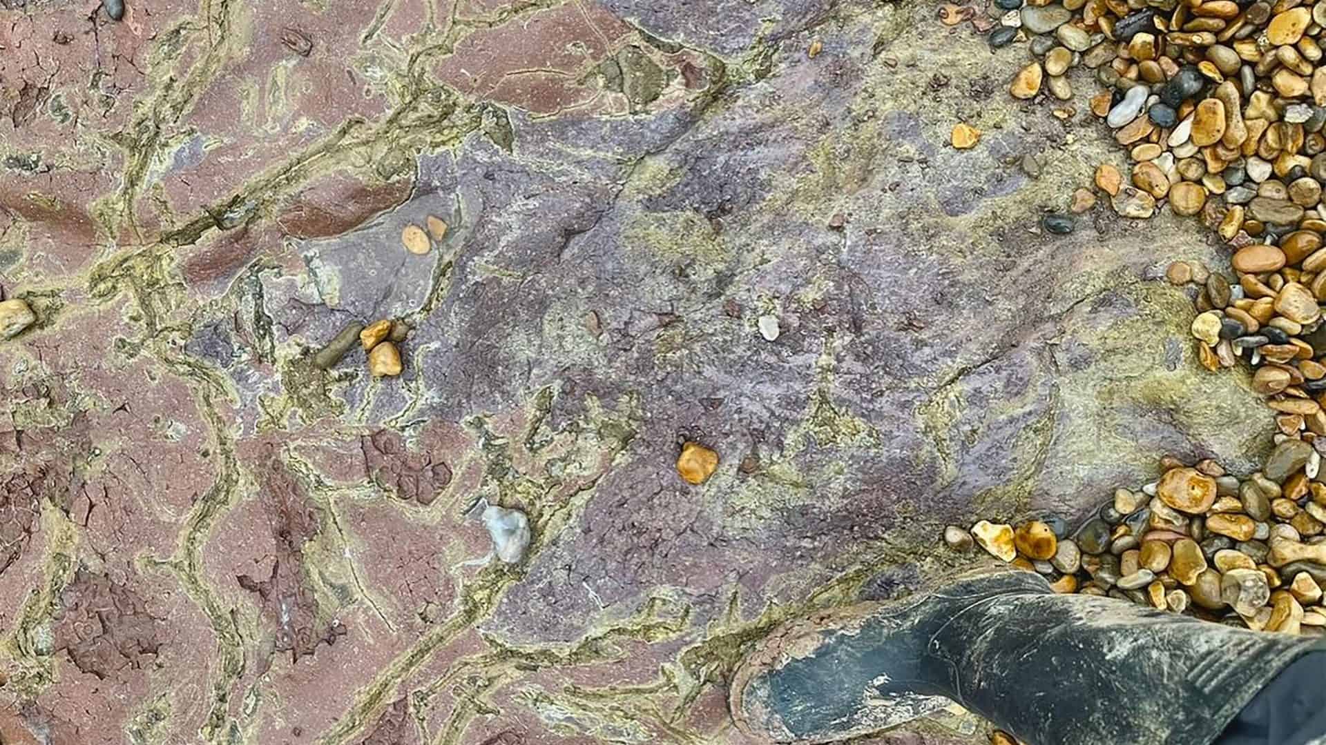 pegada-iguanodonte-1920x1080