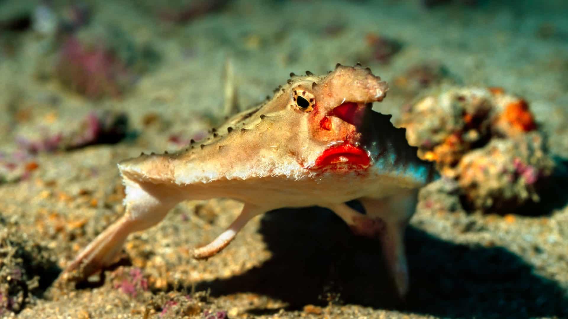 shutterstock_1932032045-1-1920x1080