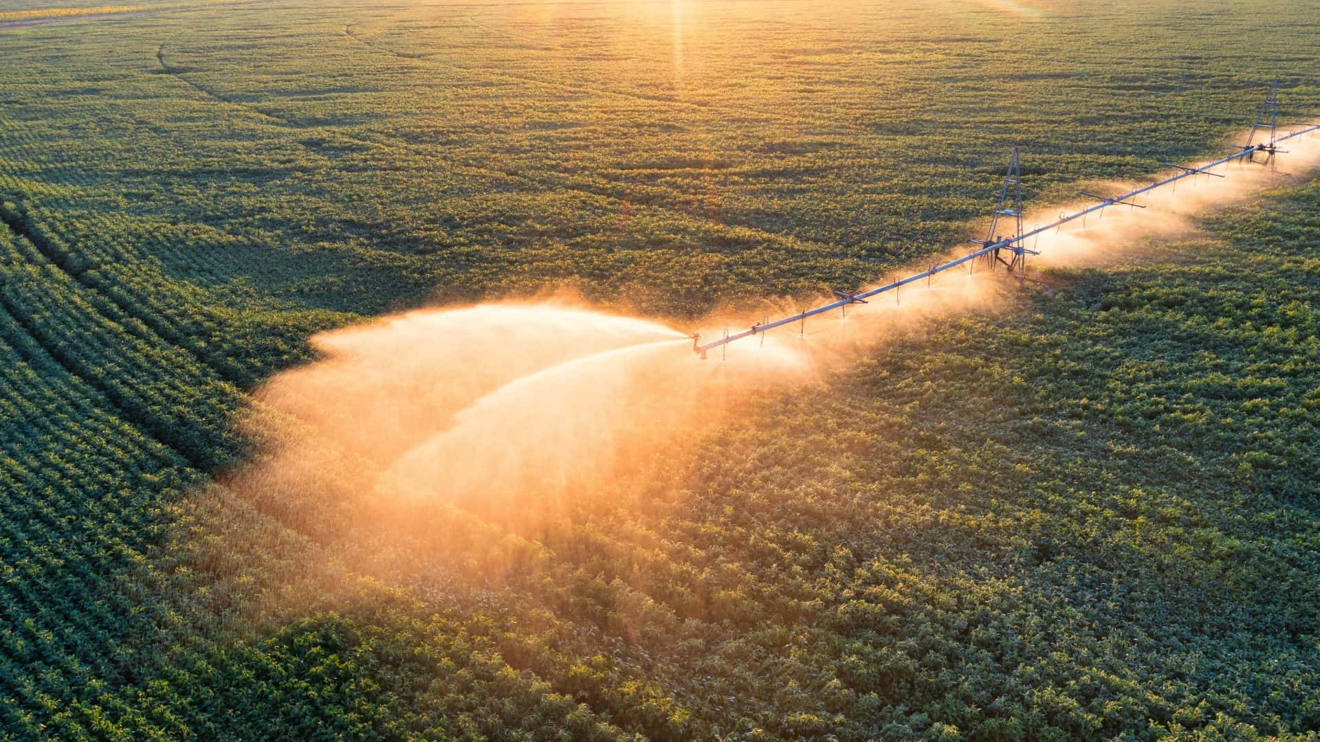 imagem mostra um sistema de irrigação em uma fazenda