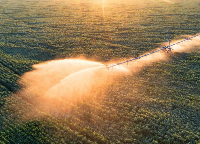 imagem mostra um sistema de irrigação em uma fazenda