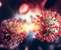 Vírus da Covid-19 se dividindo em dois novos vírus