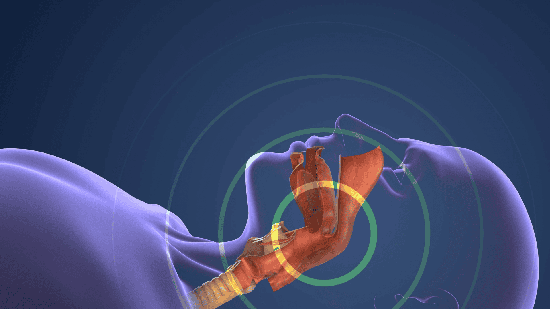 Sistema Respiratório Gerenciando a Respiração Normal e o Ronco Durante a Ilustração 3D do Sono