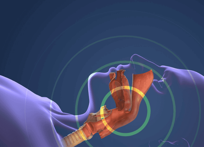 Sistema Respiratório Gerenciando a Respiração Normal e o Ronco Durante a Ilustração 3D do Sono