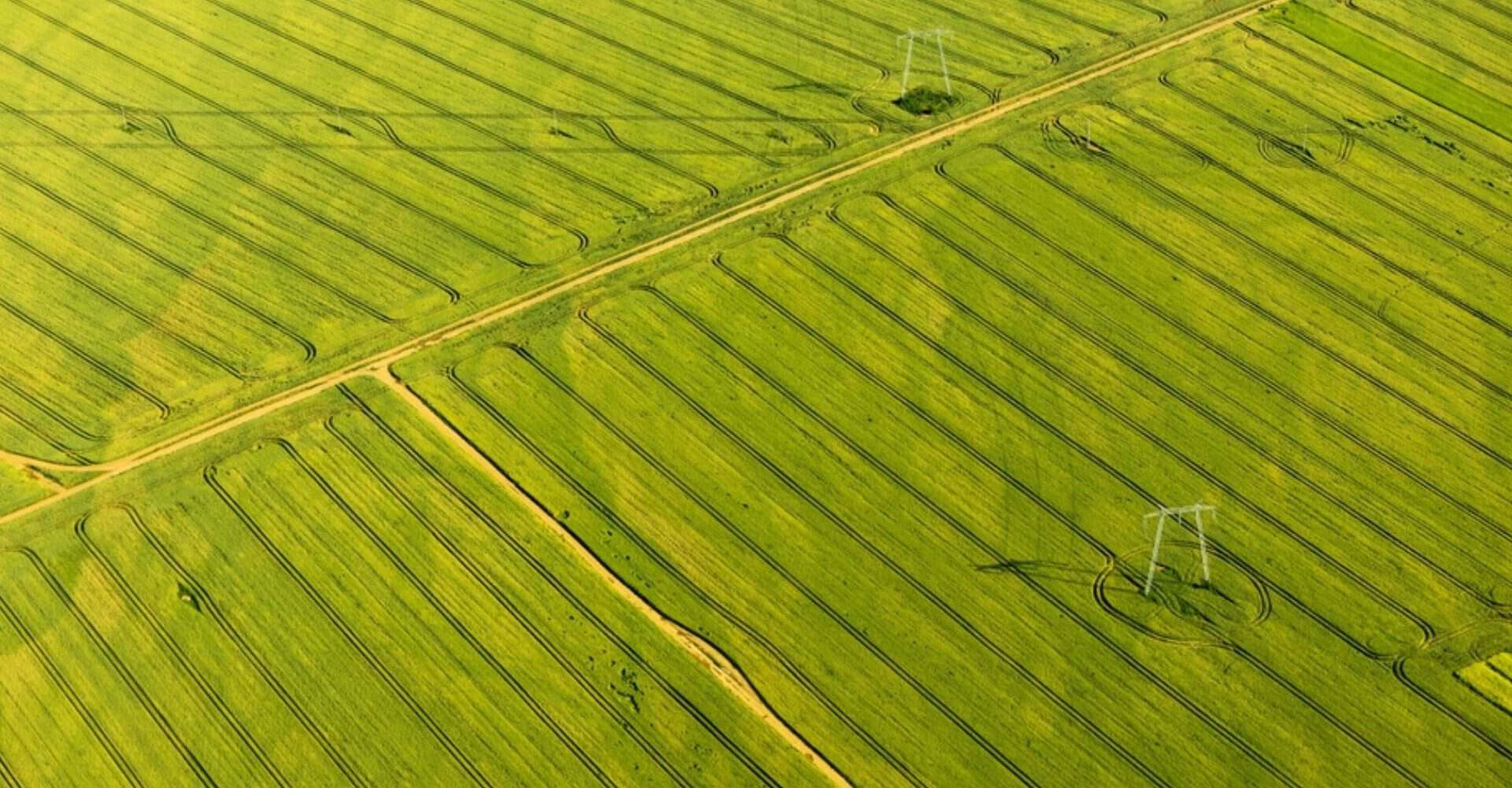 Imagem de cima de um campo de agricultura.