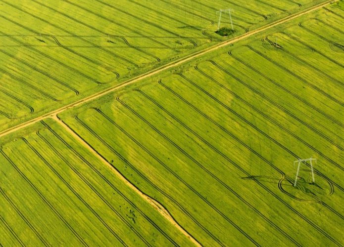 Imagem de cima de um campo de agricultura.