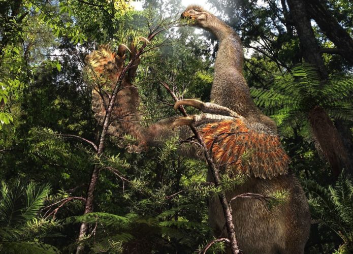 Ilustração de dinossauro com garras gigantes em pé pegando vegetação para comer na floresta