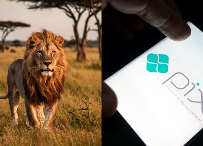 Montagem com fotos de leão em savana, representando a Receita Federal, e de uma pessoa com dedos sobre tela de celular que exibe logomarca do Pix