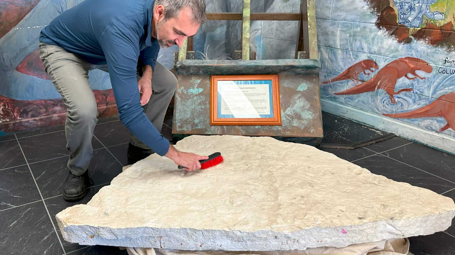 Dr Romilio escovando pedra com pegadas de dinossauro na Austrália