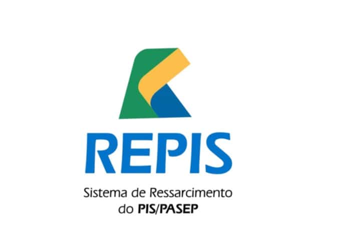 Print do sistema do Repis