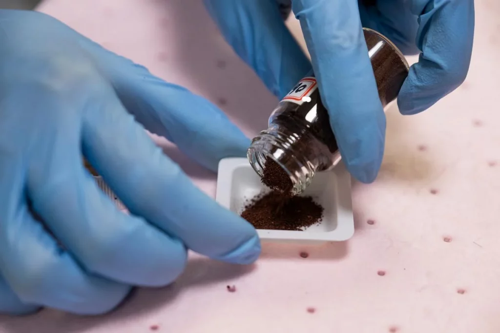 Proteína unicelular que serve de alimento para animais