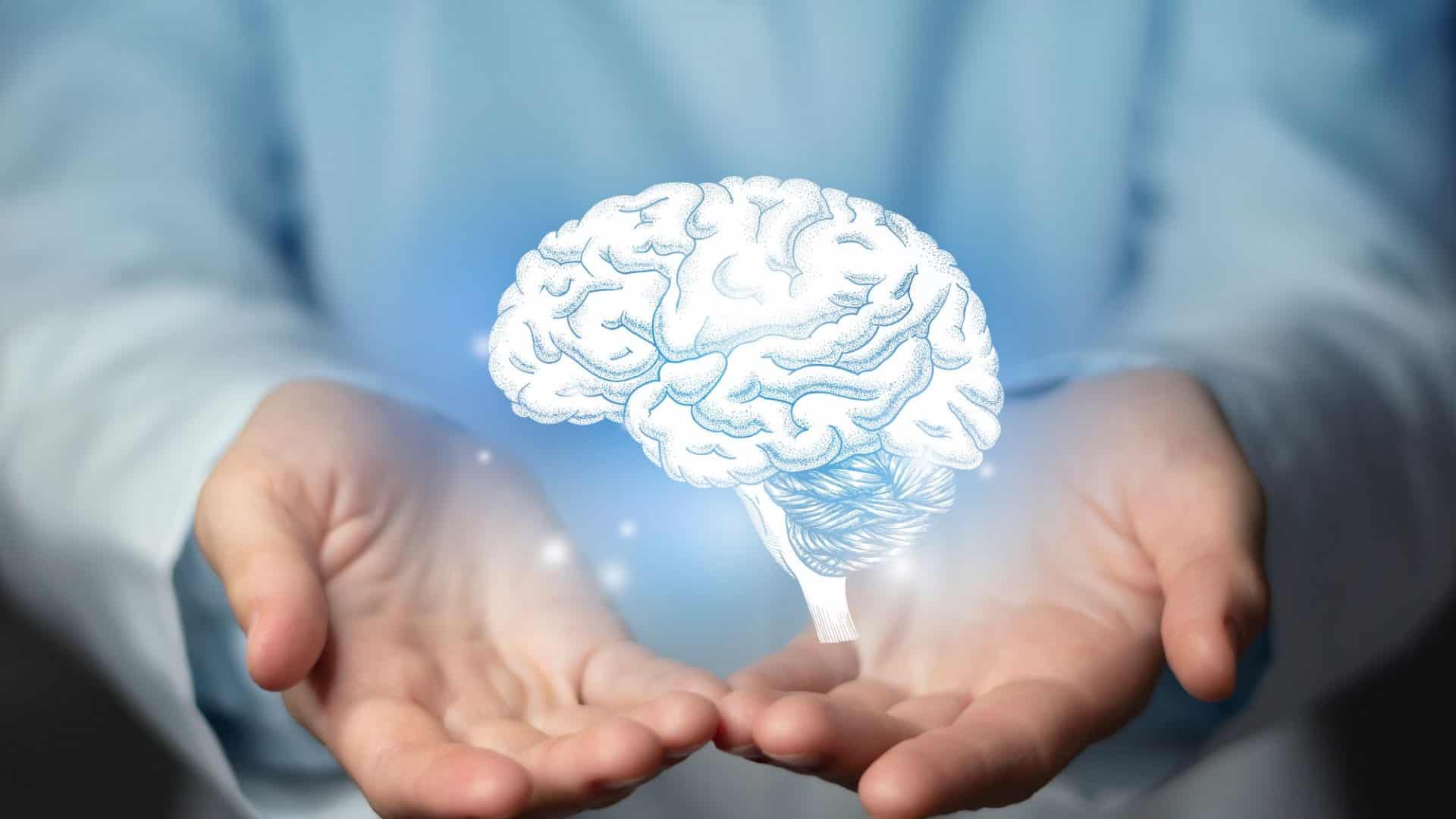 cerebro