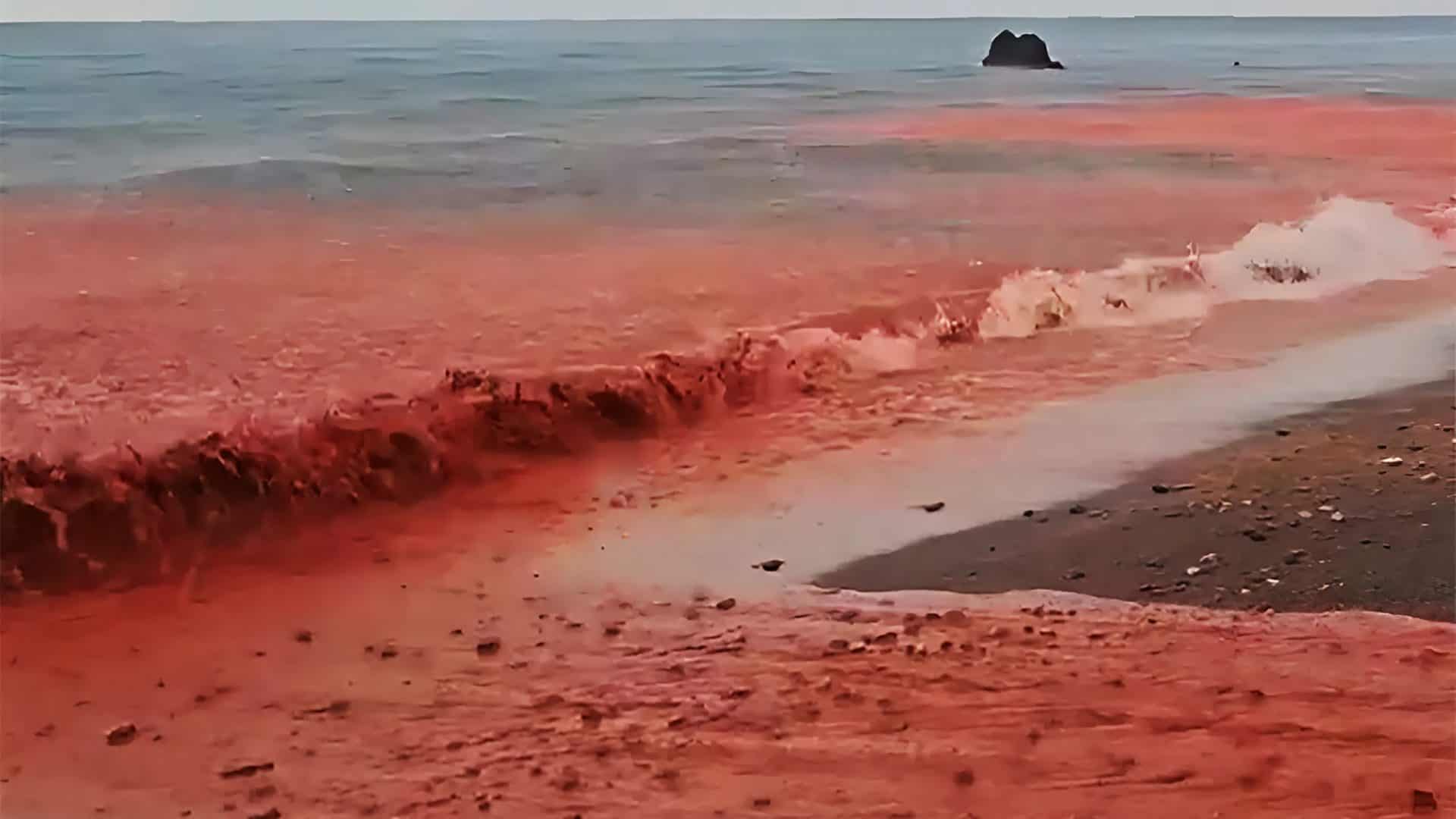 chuva-de-sangue-1920x1080