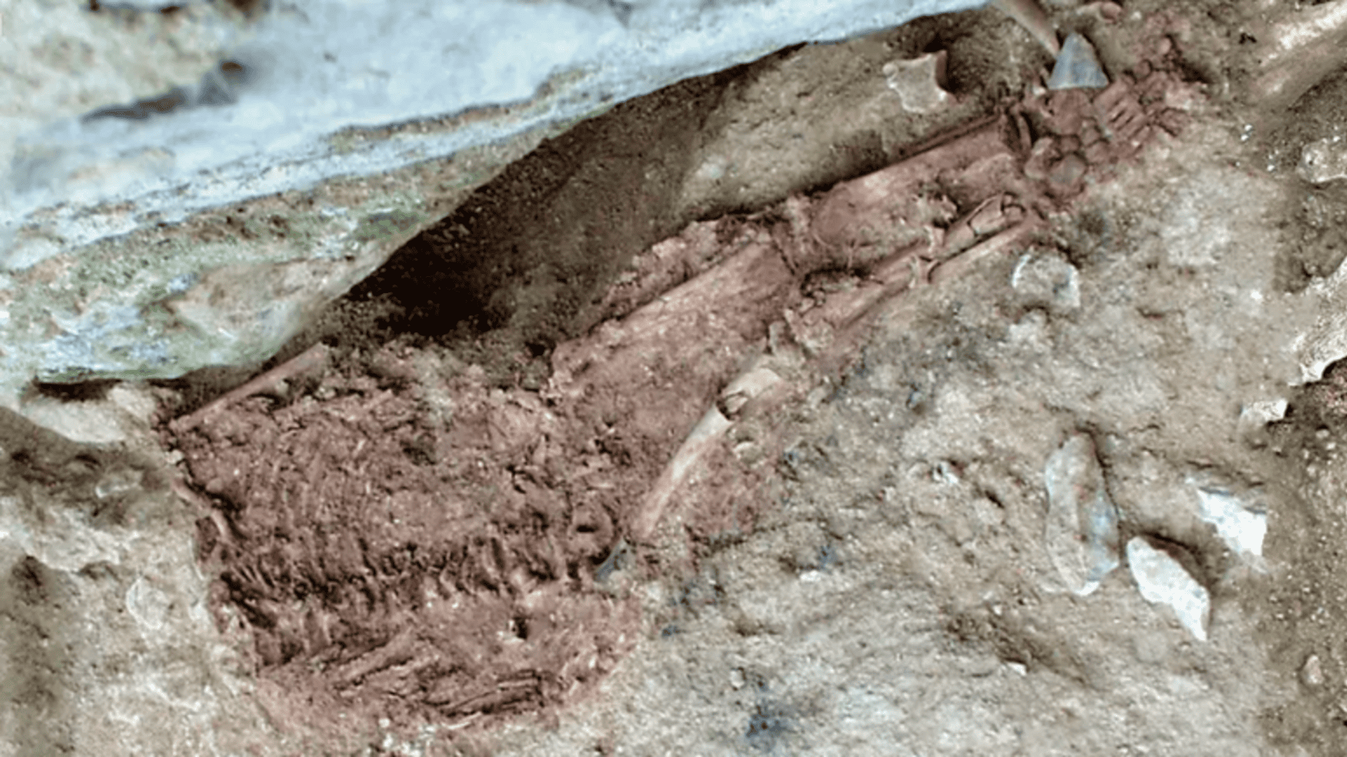 criana-de-lapedo-1-1920x1080.png