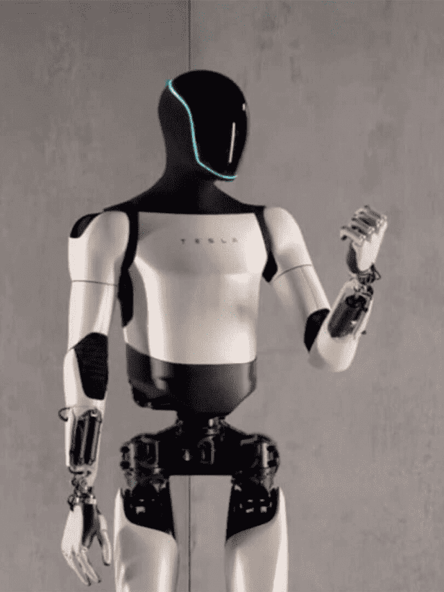 Optimus: veja o robô humanoide de Elon Musk lutando Kung Fu