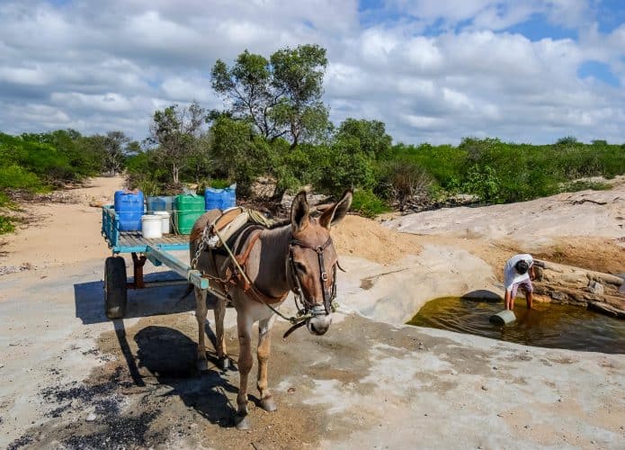 Burro esperando para transportar água, durante a estação seca, homem coletando água em um leito de rio seco na Paraíba, Brasil.