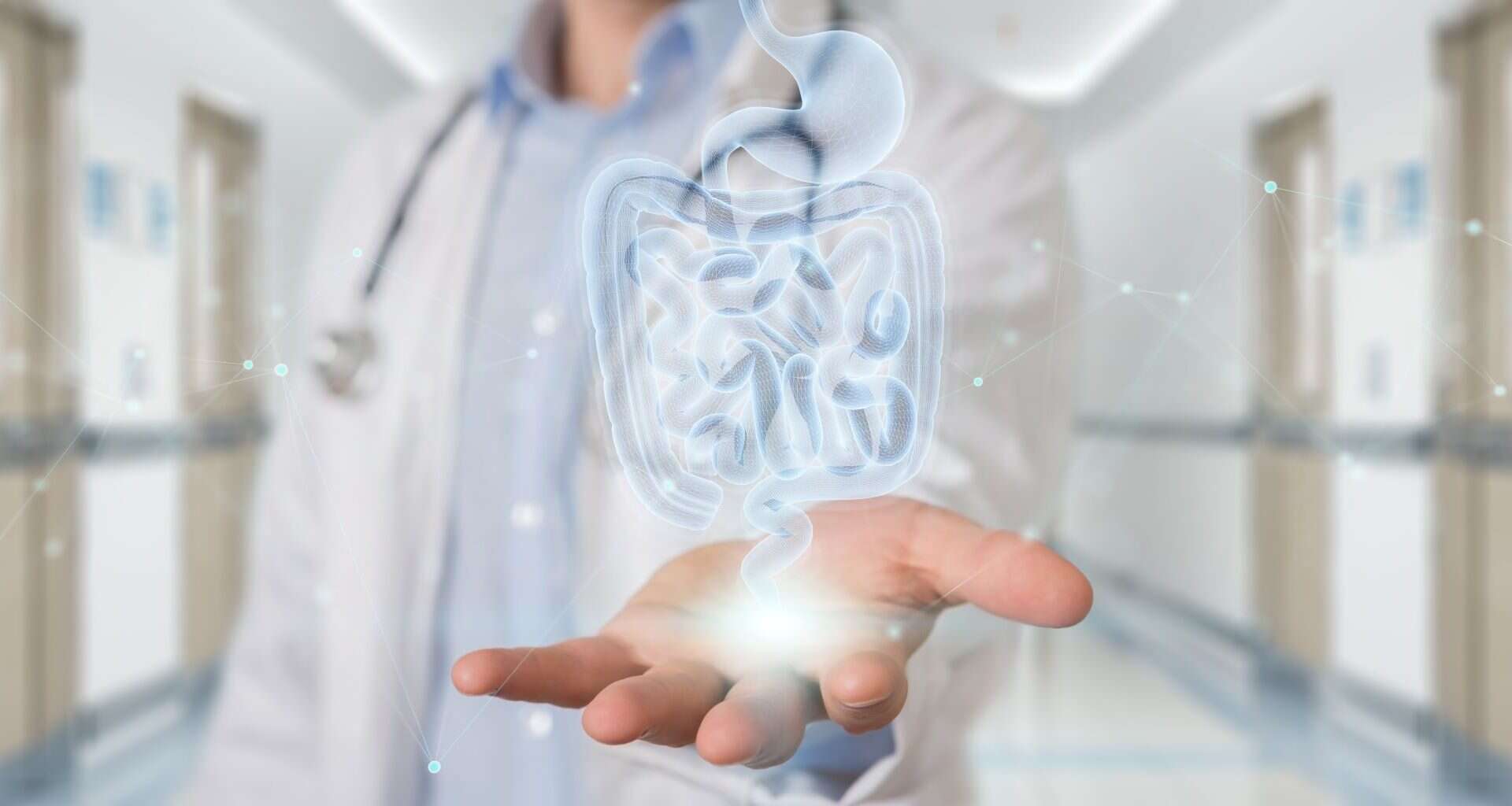 intestino