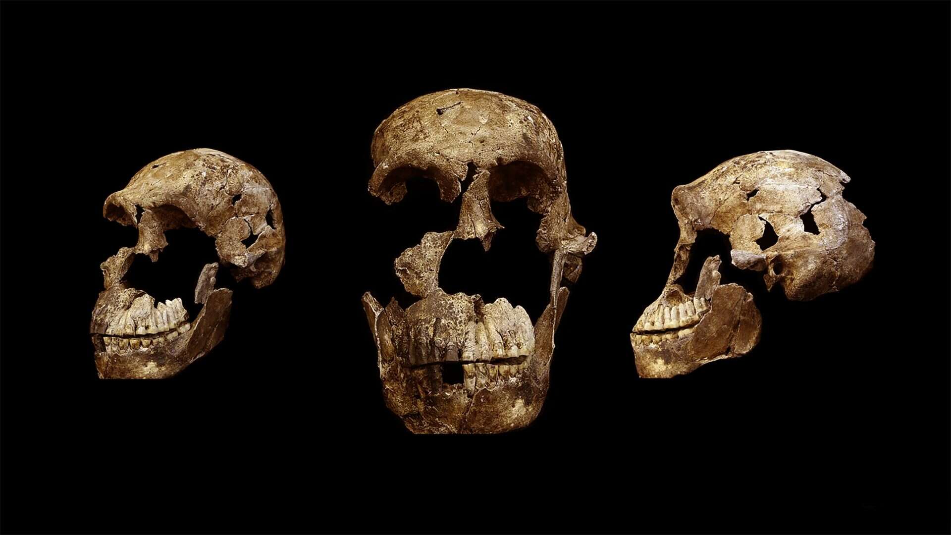 ossos-homo-naledi-1920x1080