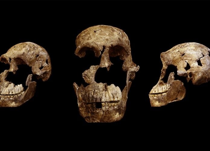 ossos-homo-naledi-695x500