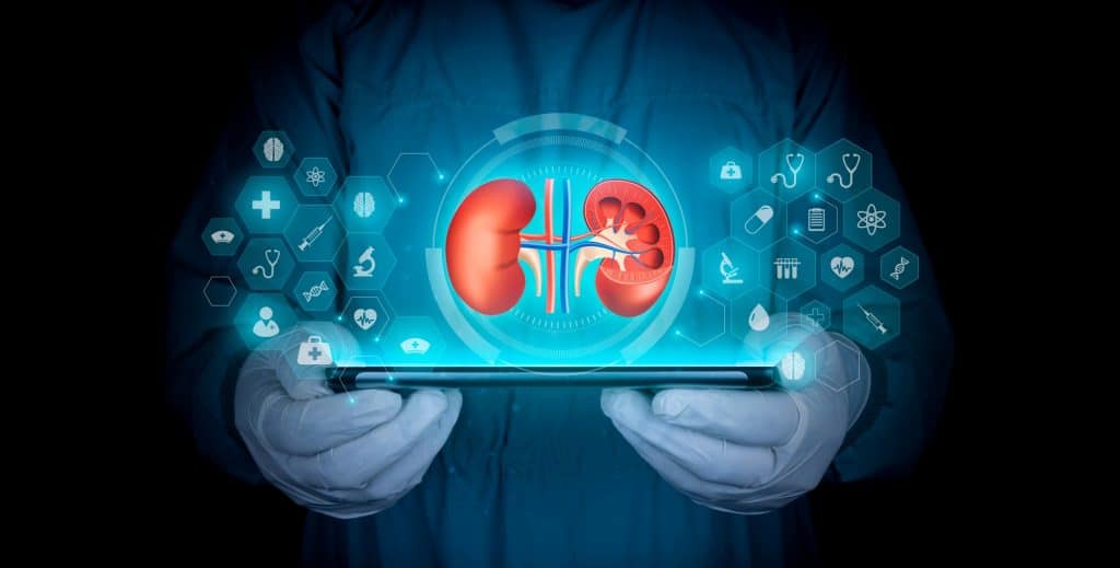 O médico analisa os rins através de um holograma.