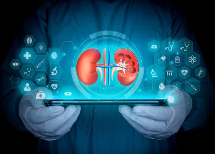 O médico analisa os rins através de um holograma.
