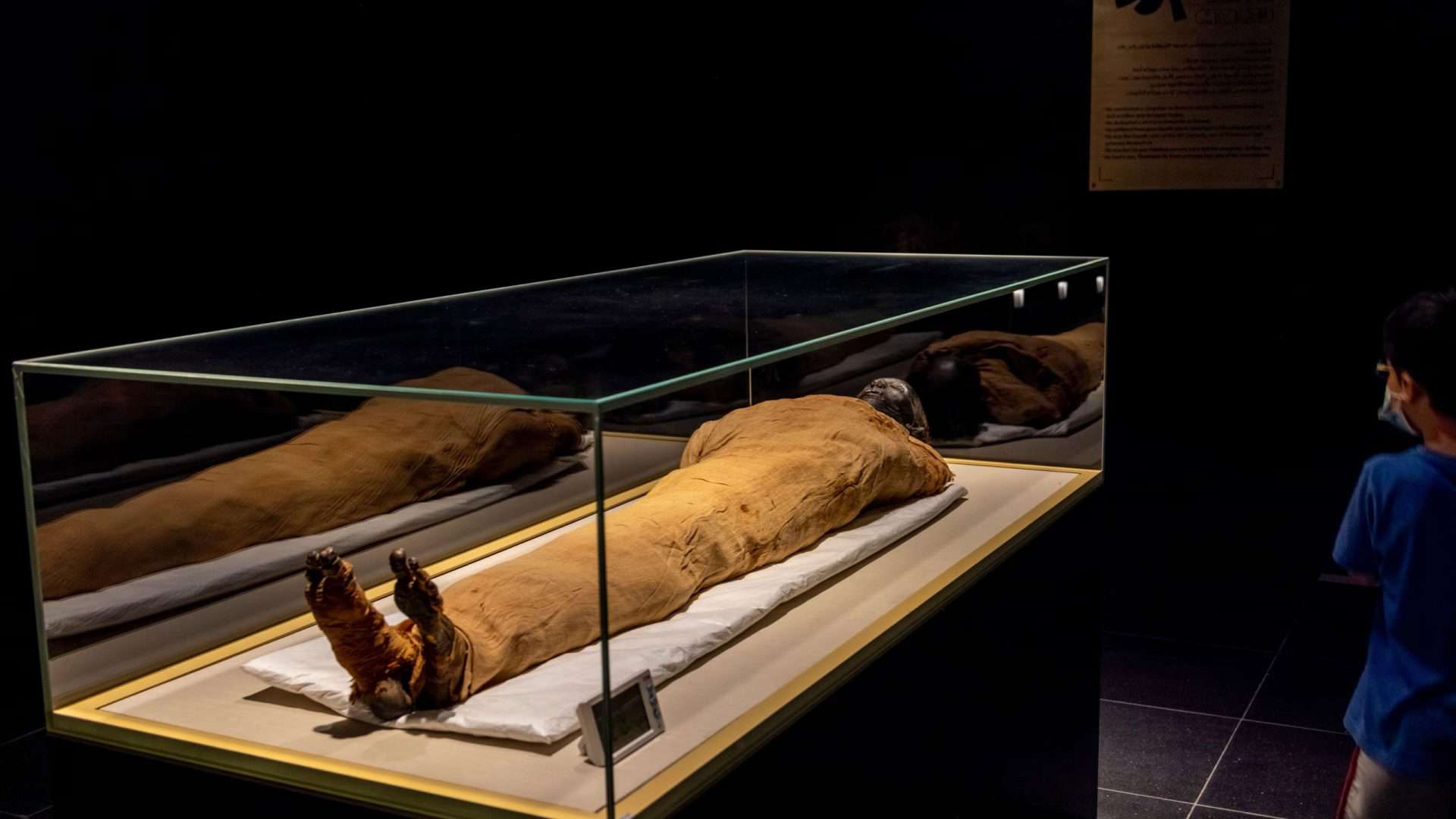 Suposta múmia de Tutmósis II dentro de caixa de vidro