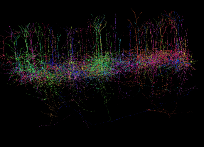 Captura-de-tela-2025-04-10-121025-695x500.png