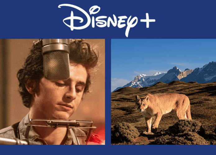 Disney+