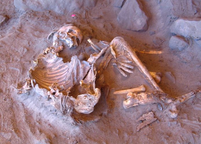 Fósseis analisados no abrigo de pedra Takarkori