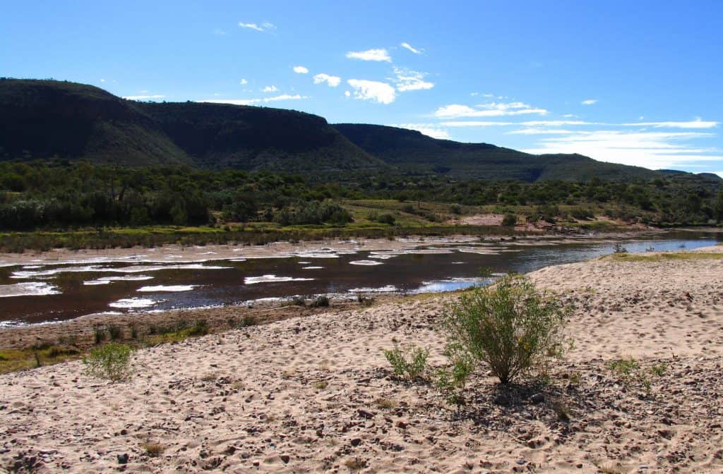 Paisagem do rio Finke, na Austrália Central, com leito de areia, vegetação esparsa e colinas ao fundo, sob céu azul claro. Foto por Menphrad, via Wikimedia Commons.