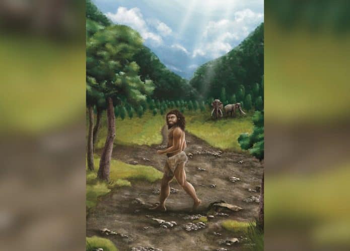 Ilustração de homem denisovano andando em floresta com dois mamutes ao fundo