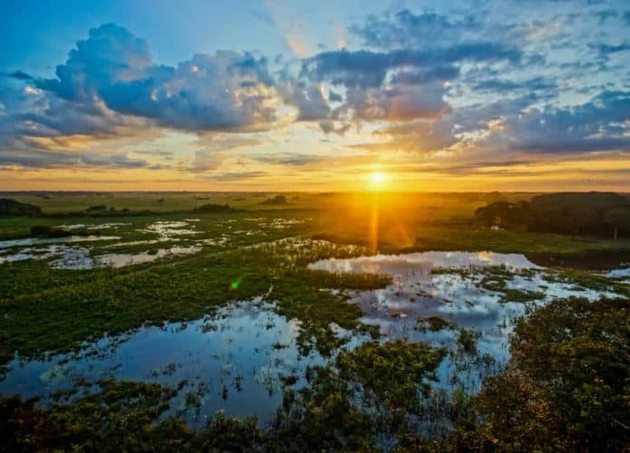 Pantanal-1-1-695x500