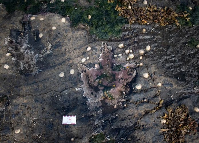 Pegada de dinossauro na Escócia