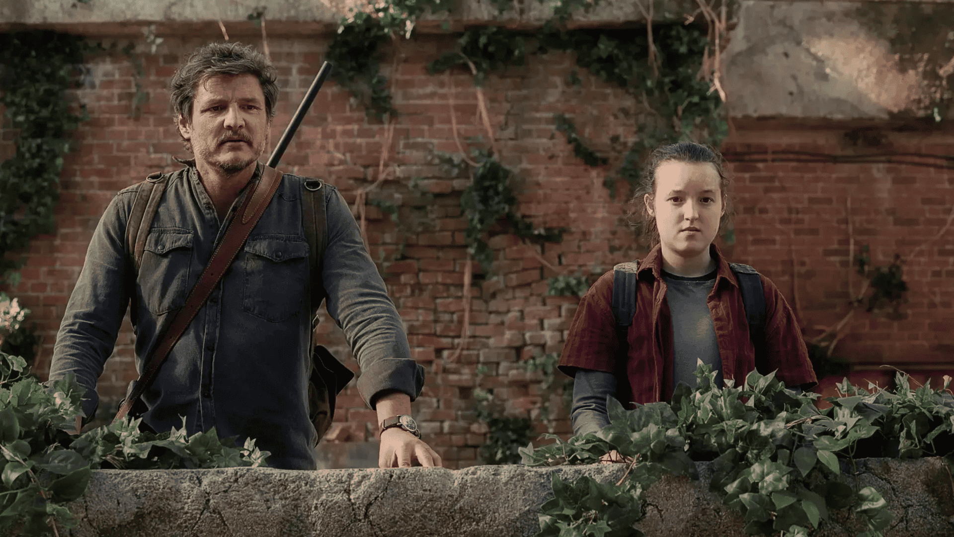 The Last Of Us, 2 temporada HBO