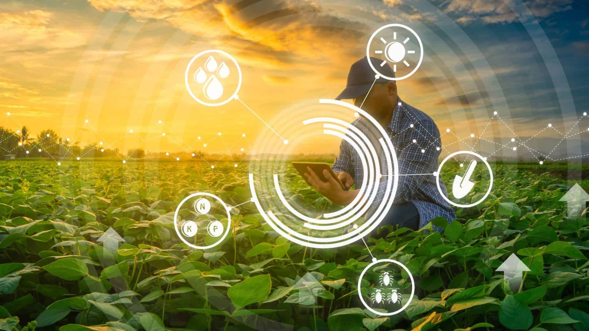 agricultura