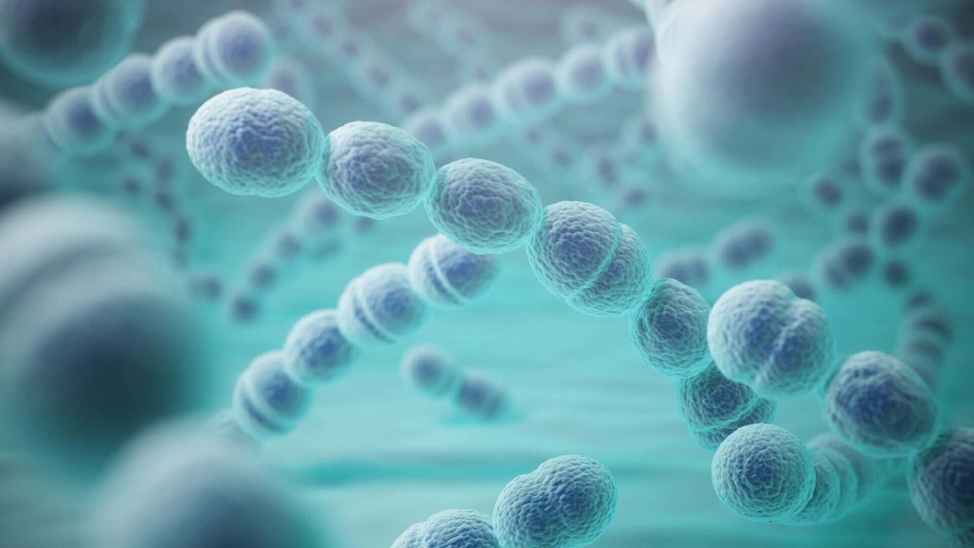 bactria-1-1920x1080