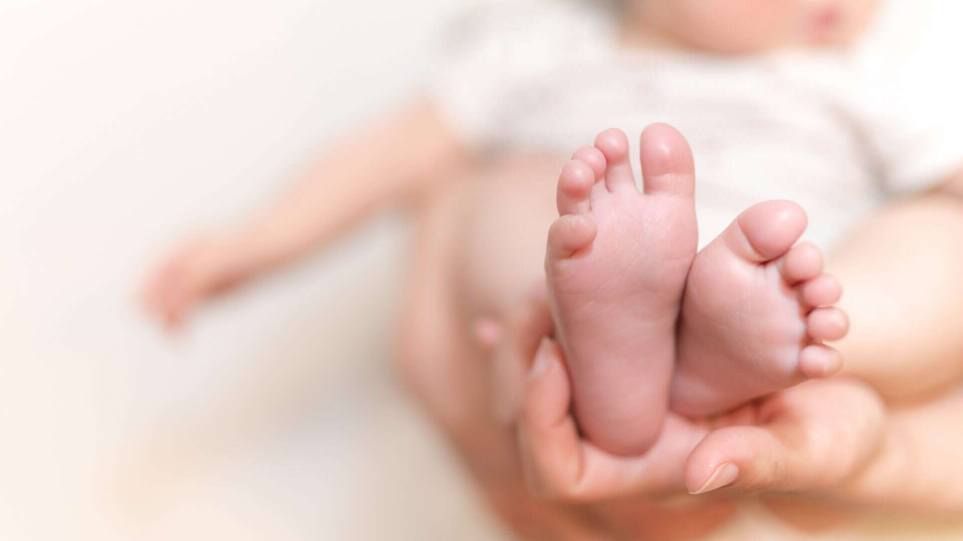bebe-1920x1080
