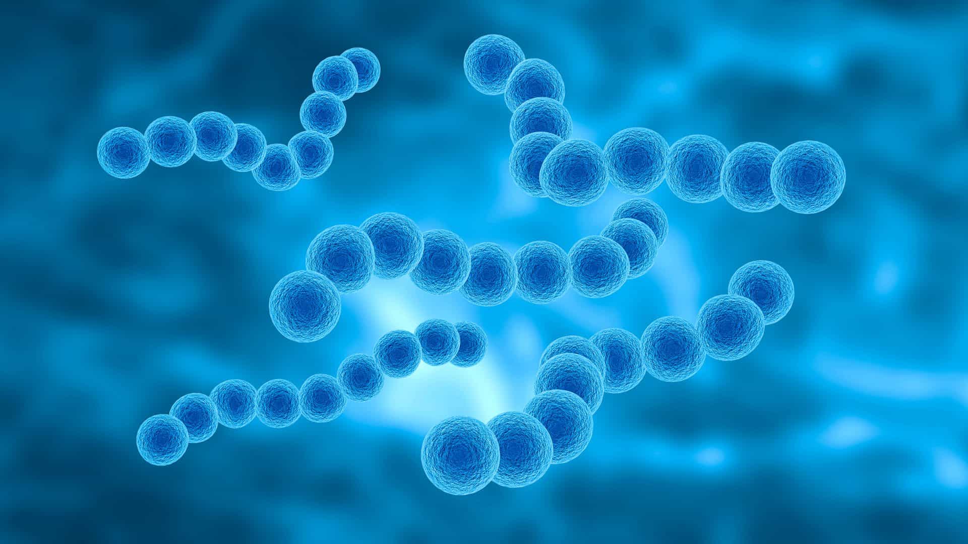iStock-2188448798-1920x1080