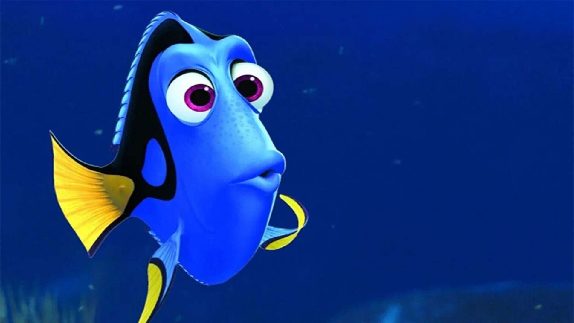 memoria-de-peixe-2-1920x1080
